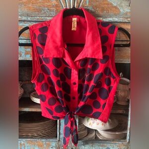 Mana Red and Blue Polka Dot Blouse